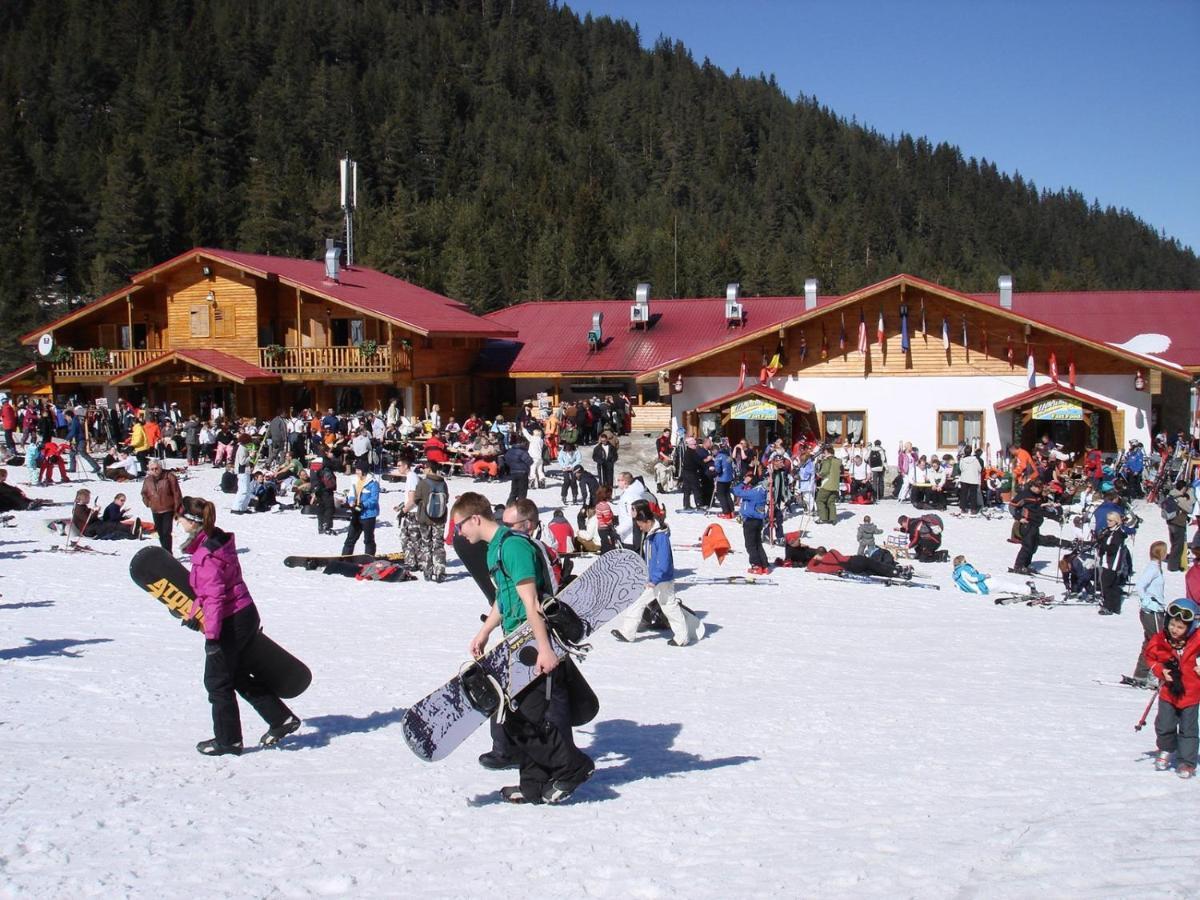 Skiing, Walking, Enjoying In Mountains Bansko Eksteriør bilde