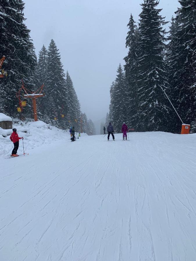 Skiing, Walking, Enjoying In Mountains Bansko Eksteriør bilde